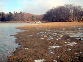 Shallow waters at Port Revel